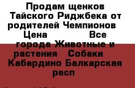 Продам щенков Тайского Риджбека от родителей Чемпионов › Цена ­ 30 000 - Все города Животные и растения » Собаки   . Кабардино-Балкарская респ.
